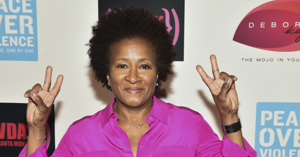 Wanda Sykes Lands Netflix Stand Up Special Afropunk