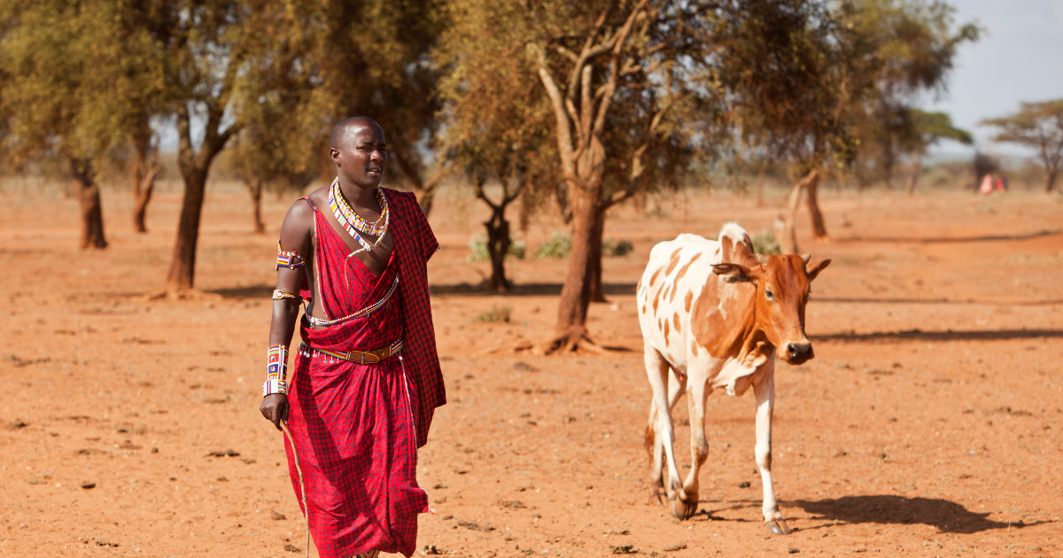 Maasai people driven off ancestral land because of luxury safari companies | AFROPUNK