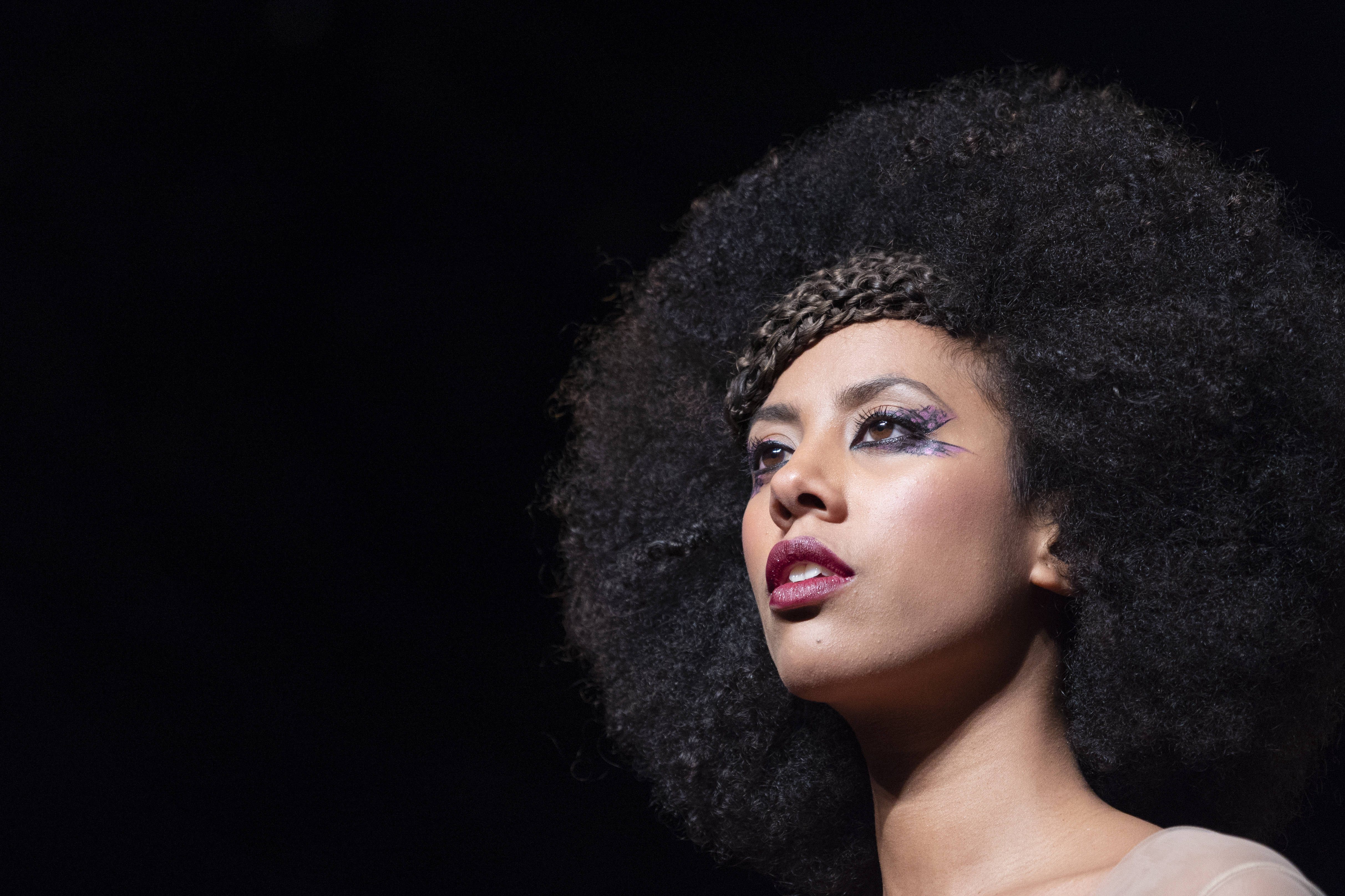 The Contradictory Nature Of Hollywood Hair Afropunk