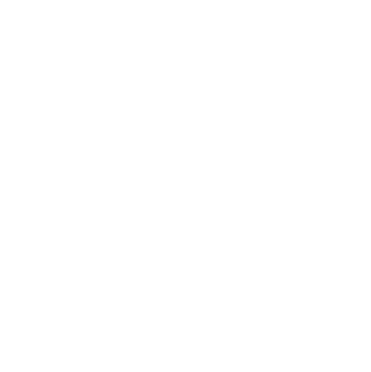 Target Logo White Afropunk